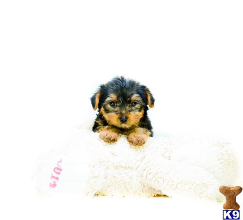 addisongood Picture 3
